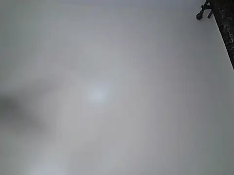 Alevic_のライブチャットルーム