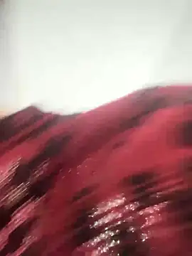 Noah_Tm Live Chatraum