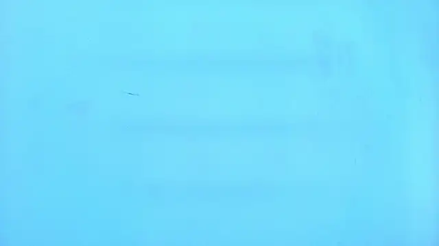 Bilik Sembang Langsung RenataBloom