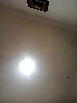 dimopussy – live chatrum