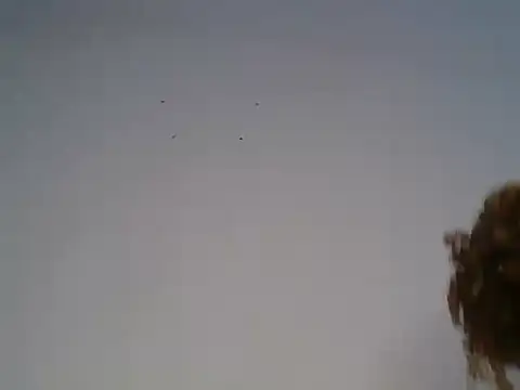غرفة دردشة freaky_mavin المباشرة