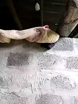 Živá chatovací místnost Belle_hi