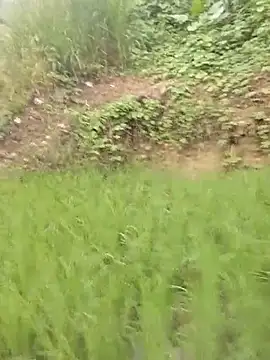 Chat soba uživo modela Belle_hi