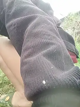 Belle_hi 실시간 채팅방