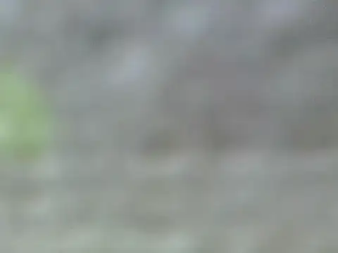 Gal_kimmy লা  ইভ চ্যাট রুম
