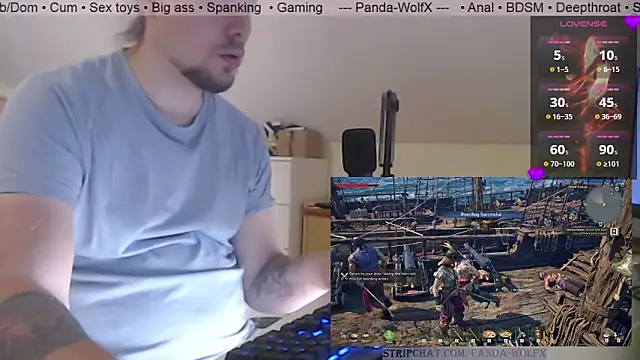 Panda-WolfX Webcam Show