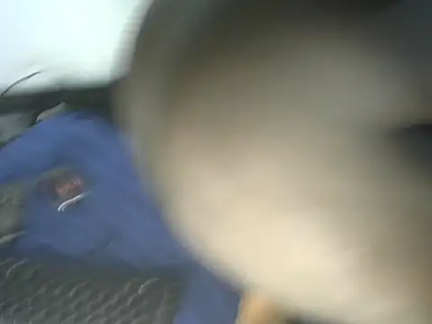 ebony_bbw254 실시간 채팅방