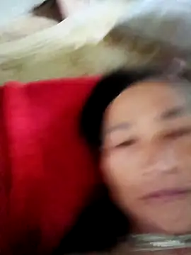Lily-sunyn Live chat-huone