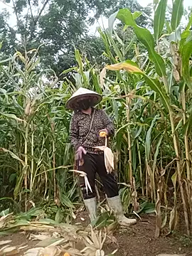 Bilik Sembang Langsung Mai-lingg