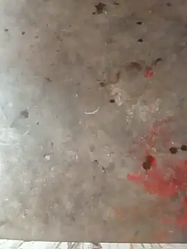 Živá chatovací místnost biharibabu06