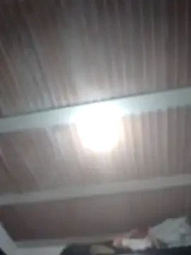 laly_Abby 실시간 채팅방