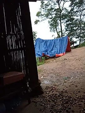 Single-M0m69 Live Chatraum