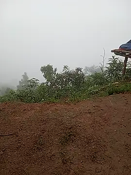 Single-M0m69 Cameră chat live