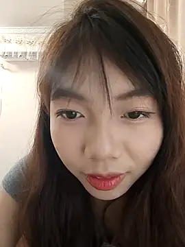 NN-833 – live chatrum