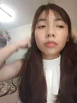 NN-833 Cameră chat live