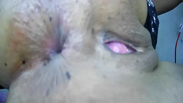 Andreasexxy Live Chatraum