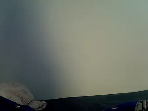 Spicybobolishia_のライブチャットルーム