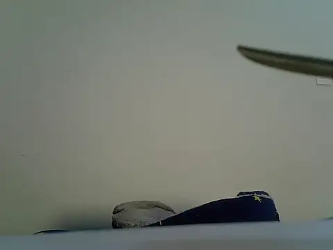 Sala de chat ao vivo de Spicybobolishia_