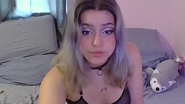 FiaKitten Live Chatraum