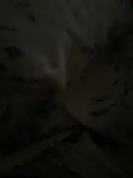 Casaldriks Live Chatraum