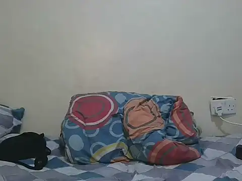 Chat ao vivo de collily