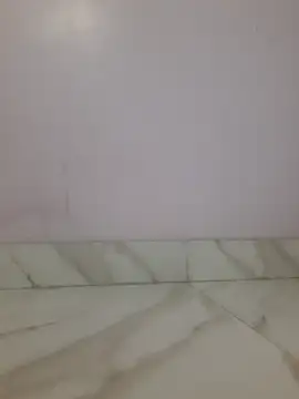 ms_zini 실시간 채팅방