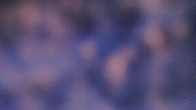_Astraia_ чат на живо