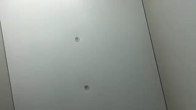 SoftMandolin 现场聊天室
