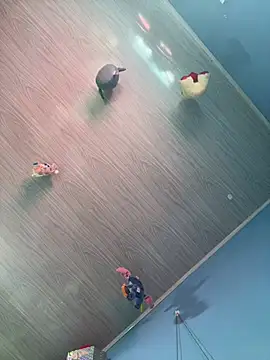 dana_Lu 실시간 채팅방