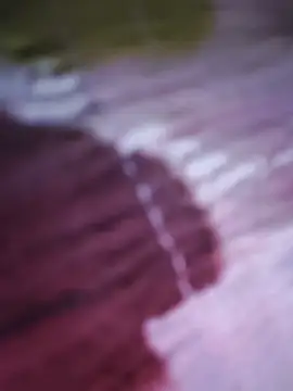 Sala de chat ao vivo de rittikap133