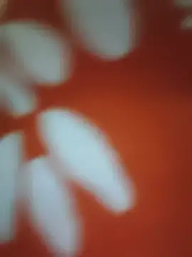 Chat soba uživo modela rittikap133