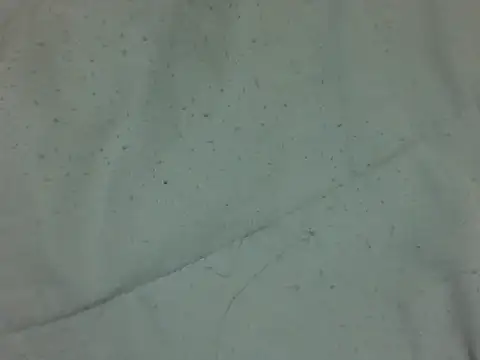 Bilik Sembang Langsung nasty-petite