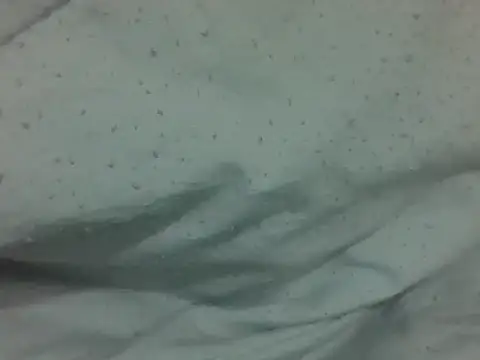 nasty-petite Adlı Modelin Canlı Sohbet Odası