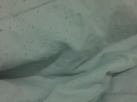 Bilik Sembang Langsung nasty-petite