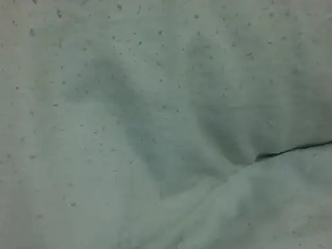 Chat ao vivo de nasty-petite