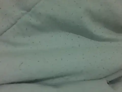 Bilik Sembang Langsung nasty-petite