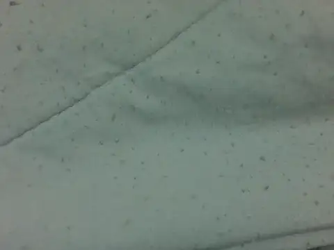 Bilik Sembang Langsung nasty-petite
