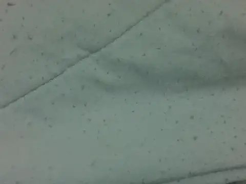 Sala de chat en directo de nasty-petite