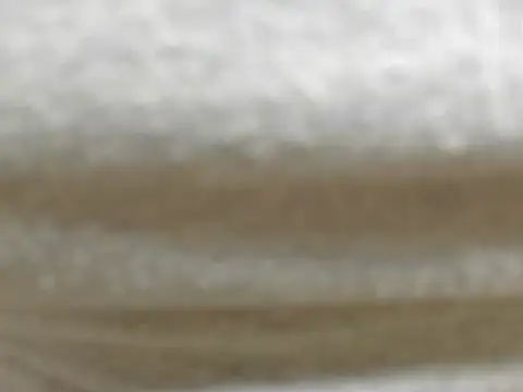 Bianca808 Live Chatrum