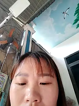 Chat ao vivo de -Nani_