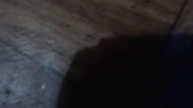 Sala de chat ao vivo de CharleyReidy