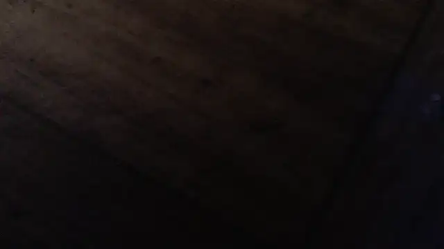 CharleyReidy 실시간 채팅방