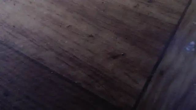 CharleyReidy Cameră chat live