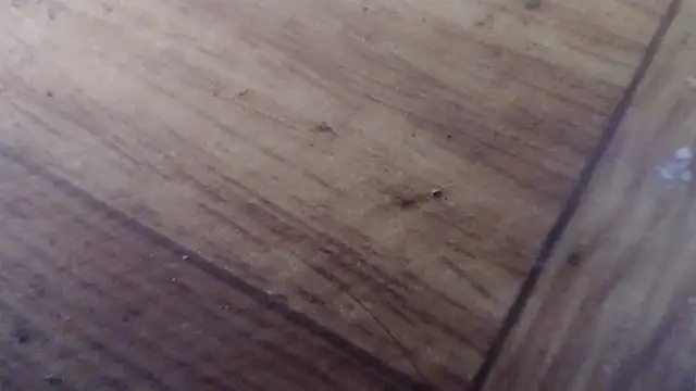 Živá chatovací místnost CharleyReidy