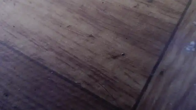 CharleyReidy Cameră chat live