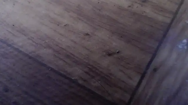 Sala de chat en directo de CharleyReidy