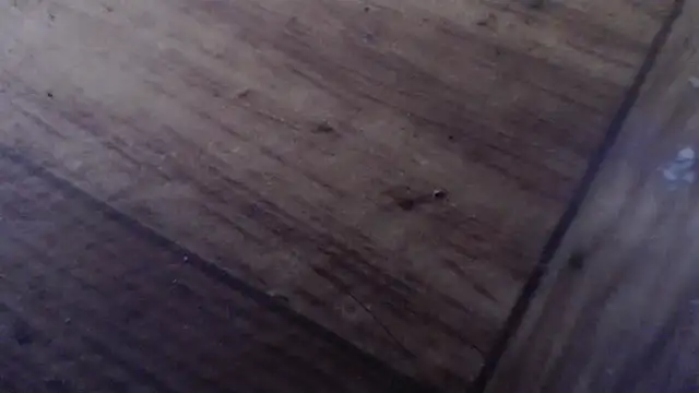 CharleyReidy Cameră chat live