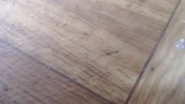 Chat soba uživo modela CharleyReidy