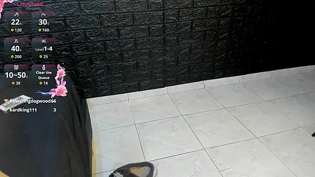 Sala de chat ao vivo de Nicky_Jen