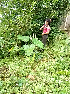 Bilik Sembang Langsung Linkk-2k